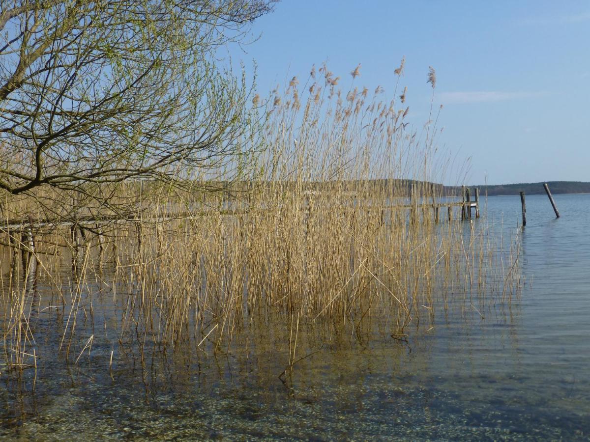 Altes Fischerhaus Βίλα Plau am See Εξωτερικό φωτογραφία